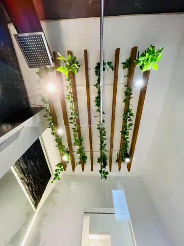 Dax Apartment