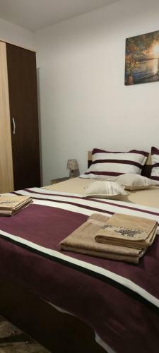 Maria Apartament Sighisoara