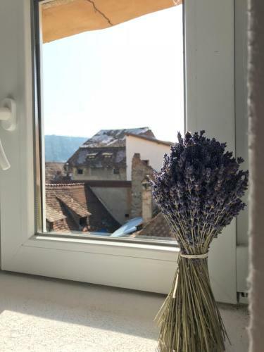 Apartamento Casa Otto Sighisoara