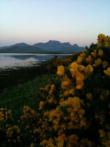 Ben Loyal Hotel