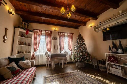 Hostal Casa Cu Suflet