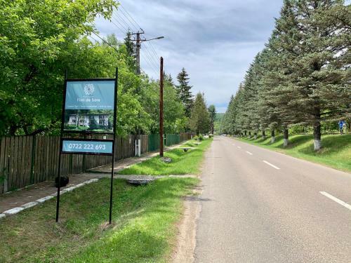 Hostal Pensiunea Flori De Sare