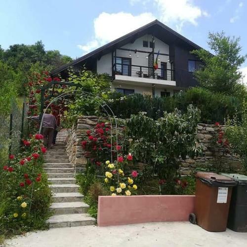 Hostal Casuta Cu Trandafiri