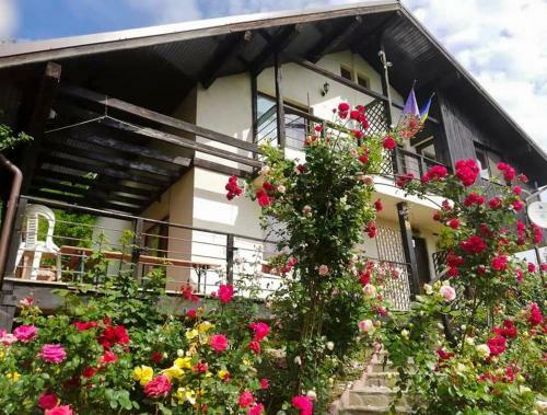 Hostal Casuta Cu Trandafiri
