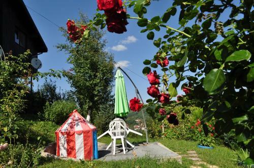 Hostal Casuta Cu Trandafiri