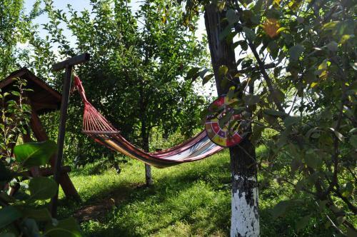 Hostal Casuta Cu Trandafiri