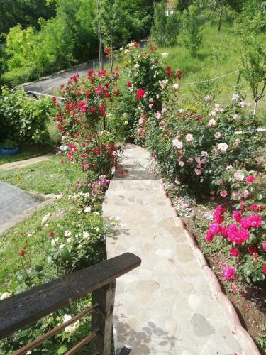 Hostal Casuta Cu Trandafiri
