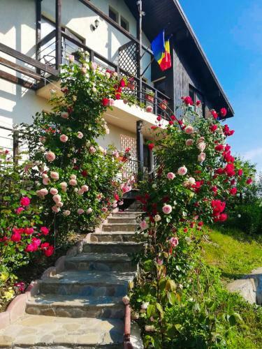 Hostal Casuta Cu Trandafiri