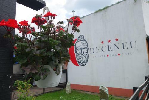 Hostal Pensiunea Deceneu