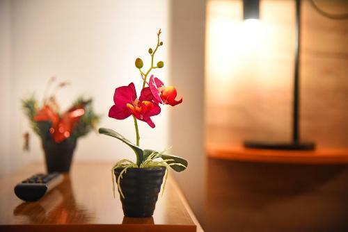 Apartament Diandru