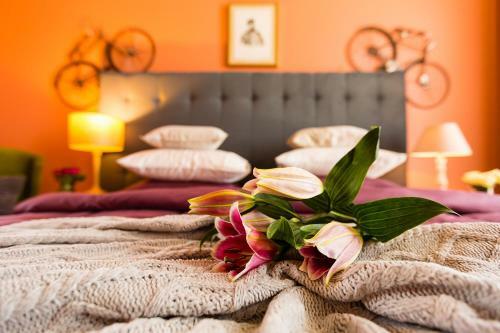 Hotel Country Spa Retreat