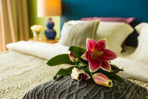 Hotel Country Spa Retreat