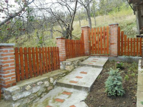 Casa Dragoi Din Socolari, Caras - Severin