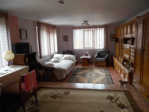 Casa Dragoi Din Socolari, Caras - Severin