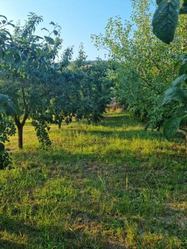 Agroturismo Casa Daliana