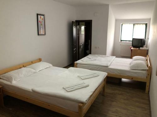 Albergue Fata Verde