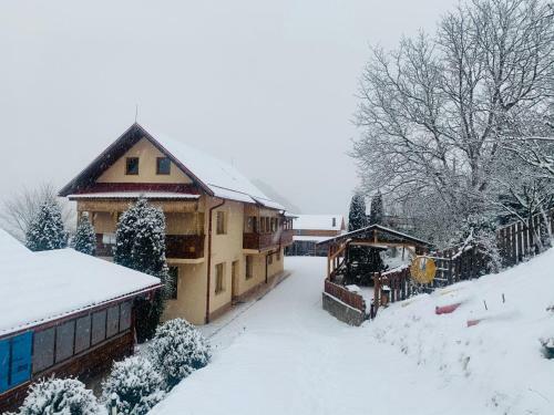 Lodge Cabana Muntele Paltinei