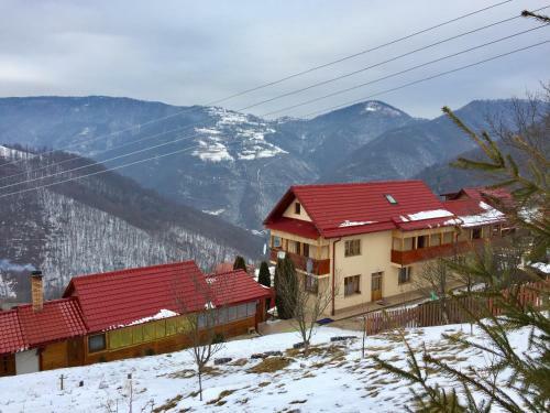 Lodge Cabana Muntele Paltinei