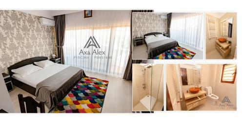 Hostal Pensiunea Axa Alex
