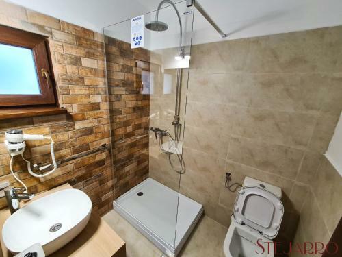 Hotel Stejarro Conac Moldovenesc