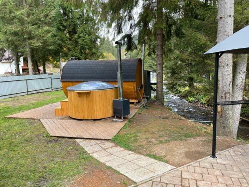 Cabana Medeea