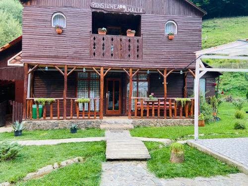 Hostal Pensiunea Amalia
