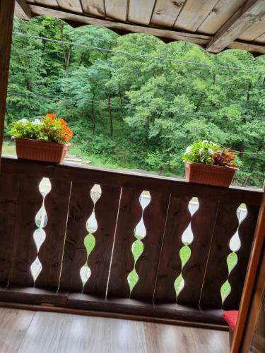 Hostal Pensiunea Amalia