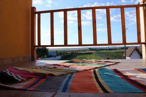 Hostal Pensiunea Diana