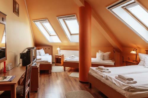 Hostal P�va Des�g