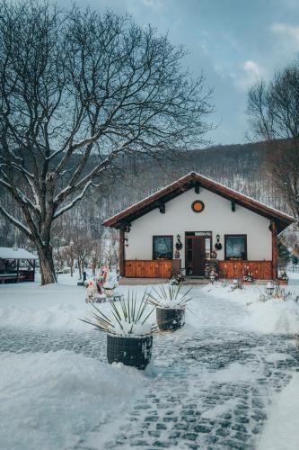 Bed & Breakfast V�n Di�fa