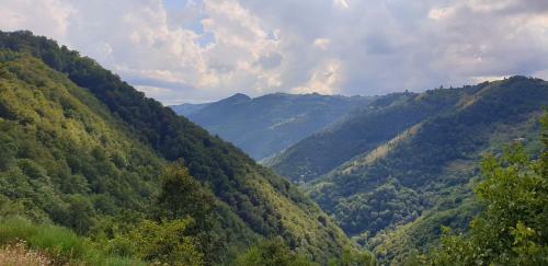 Hostal Pensiunea Petru