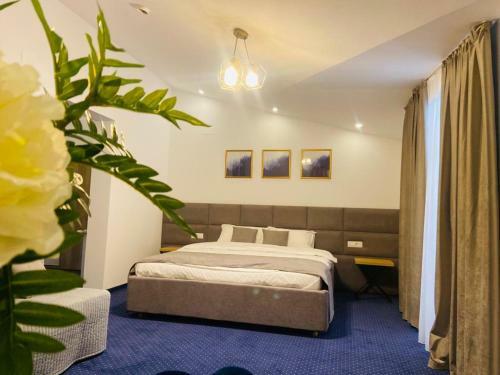 Hostal Pensiunea Sugag