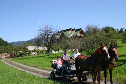 Hostal Pensiunea Amethyst