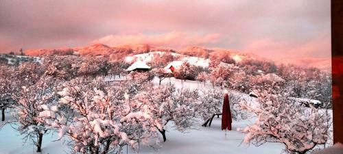 Bed & Breakfast Casa Comilor