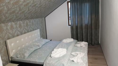 Hostal Casa Svinicean?