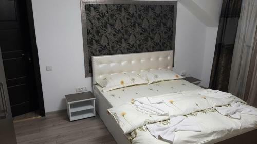 Hostal Casa Svinicean?