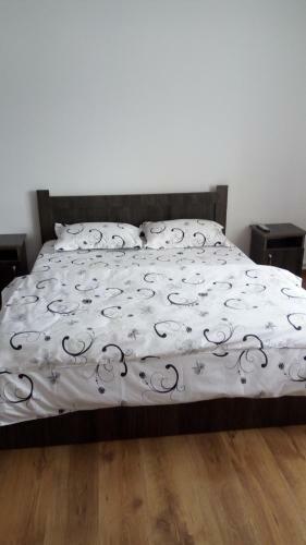 Hostal Casa Svinicean?