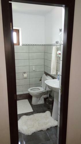 Hostal Casa Svinicean?