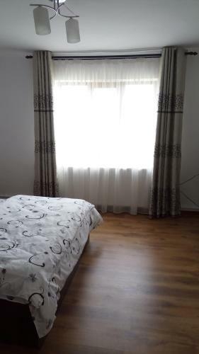 Hostal Casa Svinicean?
