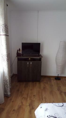 Hostal Casa Svinicean?