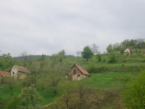 Hostal Casa Svinicean?