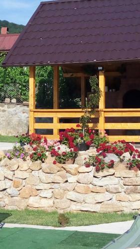 Hostal Casa Svinicean?