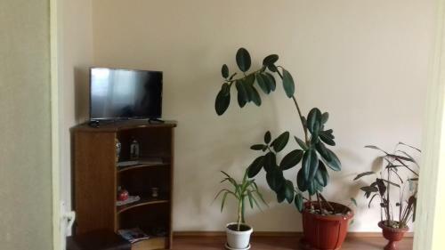 Apartament Relax