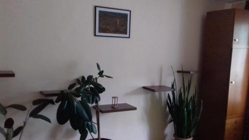 Apartament Relax