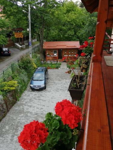 Hostal Casa Balint