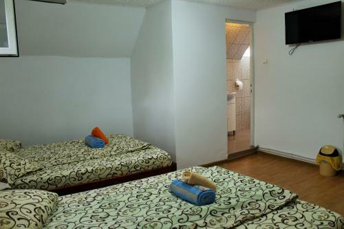 Hostal Pensiunea Beatrice