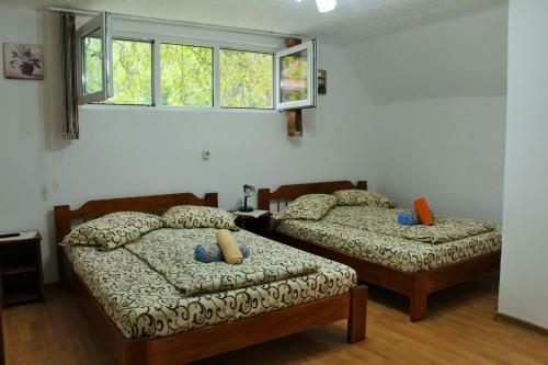 Hostal Pensiunea Beatrice