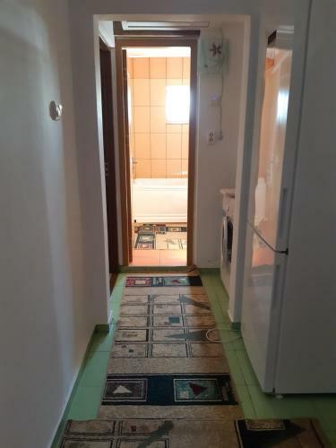 Apartamento Iulia Sulina 3
