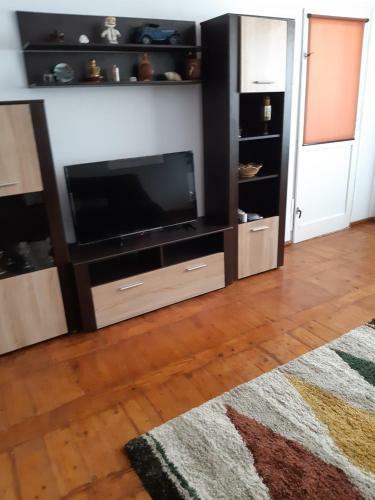 Apartamento Iulia Sulina 2