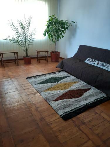 Apartamento Iulia Sulina 2